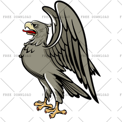 Eagle Hawk Bird Png Image With Birds Transparent Background