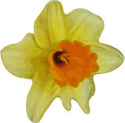 Cartoon Flower Svg Clip Arts Download - Download Clip Art Spring Flowers Clip Art Png