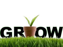 Grow Free Transparent Image HQ - Free PNG