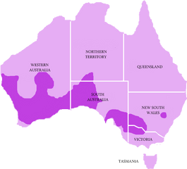 Filewestern Blue - Tongued Lizarddistpng Wikipedia Blue Tongue Lizard Found