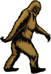 Bigfoot Gift Shop - Big Foot Png