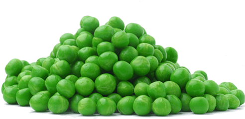 Pea Png Transparent Images - Green Peas Png