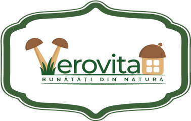 Home - Verovita House Illustration Png