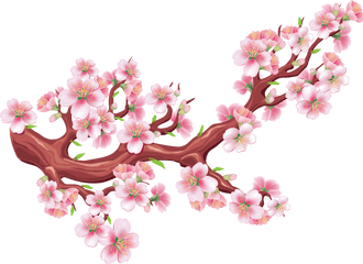 Sakura Png Hotuna Free Download - Cherry Blossom Graphic