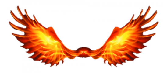 Fire Wings Png Transparent Images - Fire Wings Png