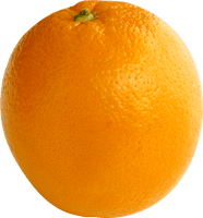 Orange Png Image Download