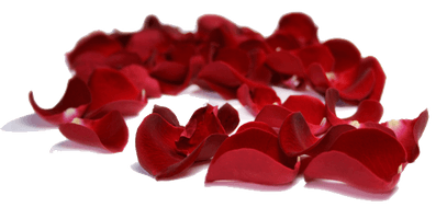 Rose Petals Clipart - Free PNG