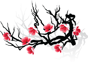 Tatoo Recherche Google Illustration Flowers - Japanese Cherry Blossom Drawing Png