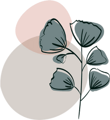 Plant Leaf Flower Abstract Free Icon - Illustration Png