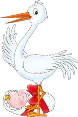 Stork Carrying Baby Girl - Stork Png