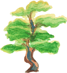 12 Watercolor Tree Transparent - Watercolor Painting Png