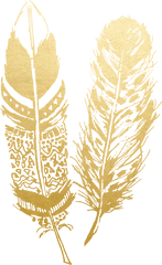 Hd Feather Drawing Boho - Feather Png Gold