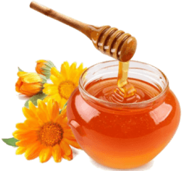 Png Hd Transparent Honey - Honey Hd