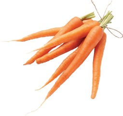 Carrot Transparent Single - Carrot Png