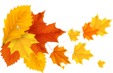 Yellow Orange Fall Leafs Png Clipart - Yellow Maple Leaf Png