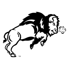 Download Hd Nestle Logo Vector Png Transparent - North Dakota State Bison Helmet