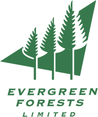 Evergreen Forests Logo Png Transparent U0026 Svg Vector - Evergreen