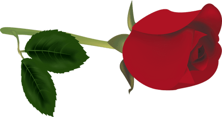 Red - Roseflowerfreepngtransparentimagesfreedownload Rose Buds Png