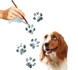 Puppy Paw Png - Beagle