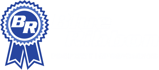 Blue Ribbon Png Transparent