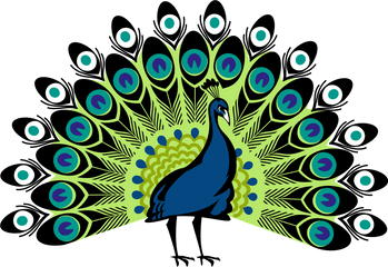 Peacock Png - Peacock Png