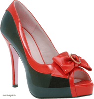 Women Shoes Png Image