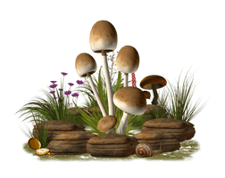 Mushroom Transparent Image - Free PNG