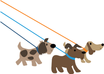 Dog Walking Durham - Dogs Being Walked Cartoon Png