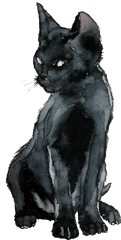 Black Cat Drawing Png - Black Cat Watercolor