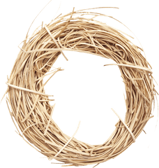 Png Images Pngs Birds Nest Burd 25png - Bird Nest