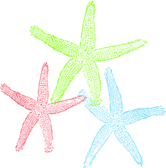 Free Set Of Three Colorful Starfish Clip Art - Starfish Starfish Png