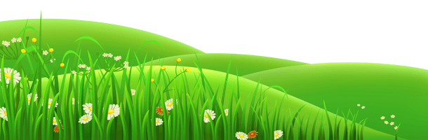 Summer Meadow Picture Free HQ Image - Free PNG