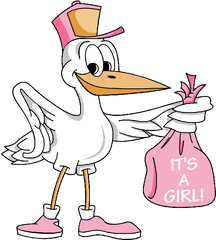 Stork Carrying Baby Girl - Cute Baby Clip Art Baby Clip Stork Carrying Baby Girl Clipart Png