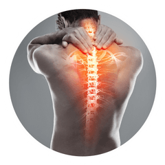 Neck And Shoulder Muscles Png Free - Back And Neck Pain