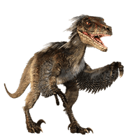 Velociraptor Dinosaur Tyrannosaurus Free HD Image - Free PNG