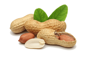 Peanut Free Png Image