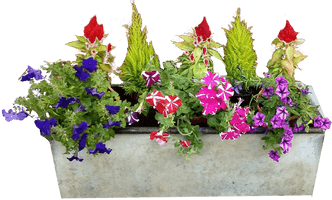 Outside Flower Pot PNG Free Photo