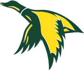 Ducks Wire Get The Latest Oregon Football And - Ducks Png