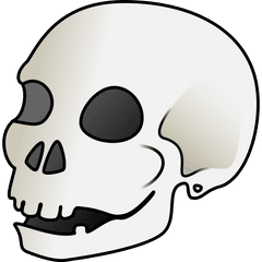 Skull - Skull Clip Art Png