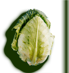 Hirut - Chard Png