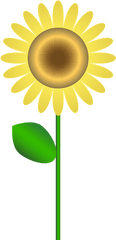 Sunflower Clipart - Sun Flower Clipart Png