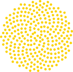 Creator - Burger Concierge Sunflower Seed Pattern Vector Png