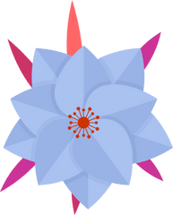 Paper Flower Clipart - Tulipa Humilis Png