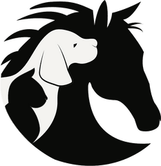 Home Back In Action Vet - Dog Horse And Cat Silhouette Cat Dog Horse Clip Art Png