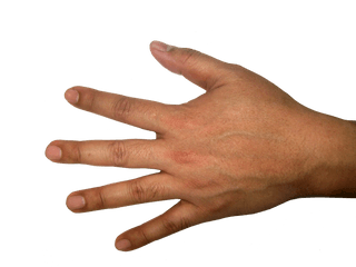 Five Finger Hand Png Image - Back Of Hand Transparent Background