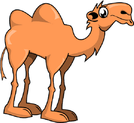 Camel Png Clipart - Camel Clip Art