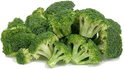 Brocolli Png Download Free Clip Art - Pile Of Broccoli Png