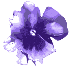 Flower Purple Blue - Watercolor Violet Flower Png