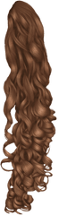 Black Hair Wig Hairstyle - Long Curly Hair Png