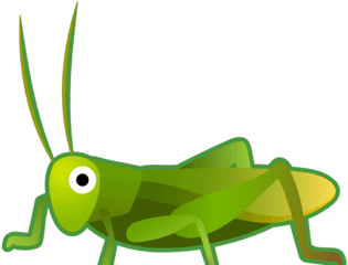 Grasshopper Png - Grasshopper Clipart Transparent Background